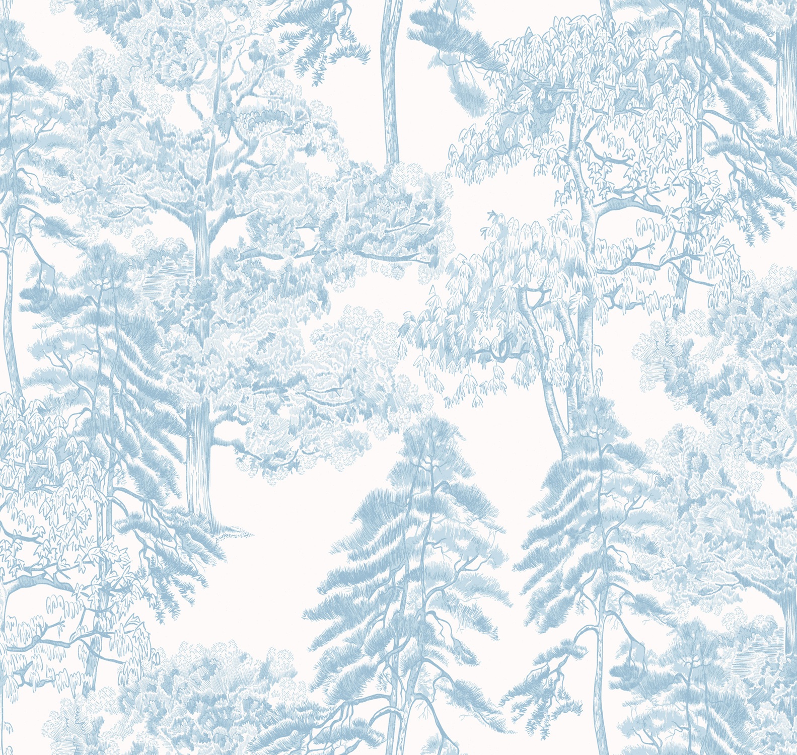 Обои Milassa Ambient vol.4 Лесной этюд Лес на рассвете AM5 006 10,05×1